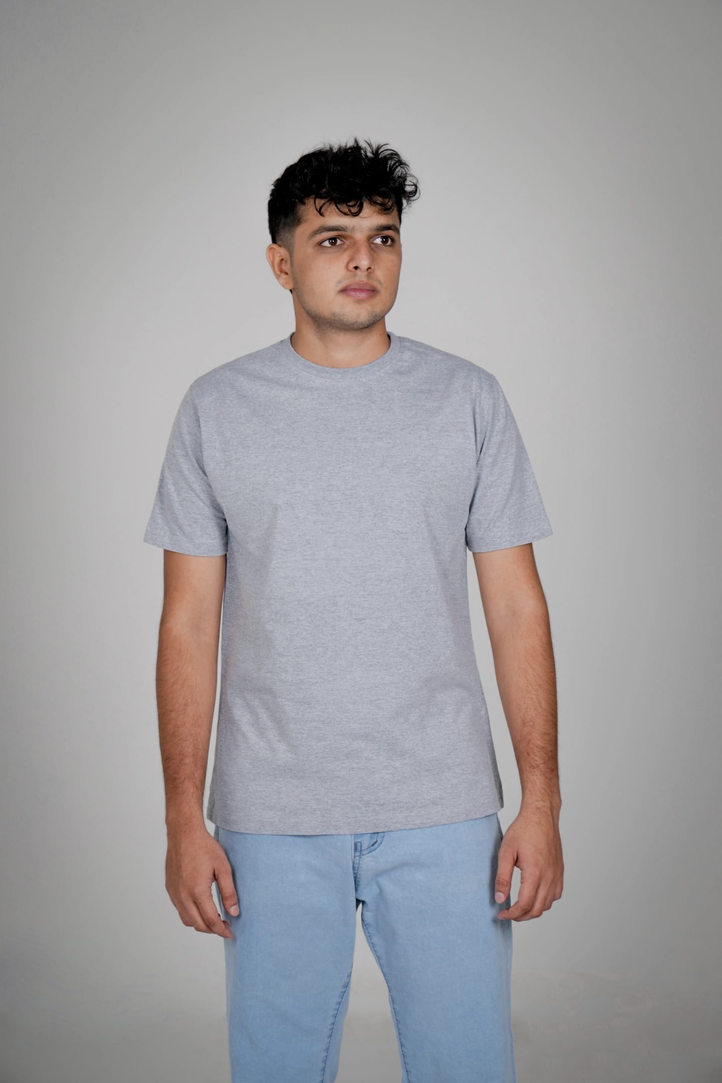 Solid Cotton Round Neck T-Shirt - Gray